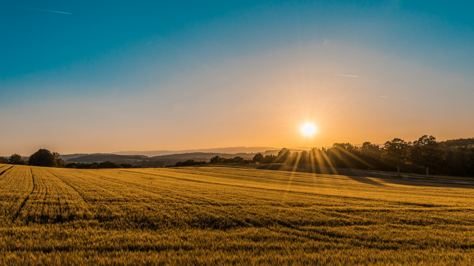 Land & agriculture